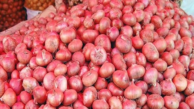 আড়াই বছর পর ভারত থেকে এলো পেঁয়াজ