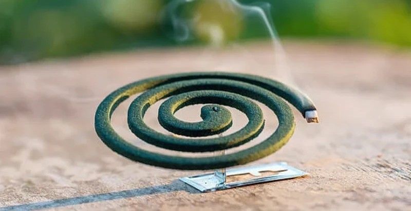 ক্ষতিকর মশার কয়েলে স্বাস্থ্যঝুঁকি