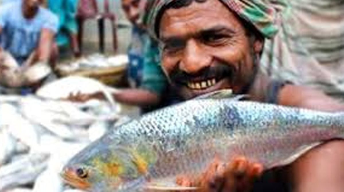 ৪ অক্টোবর থেকে ২২ দিন ইলিশ রক্ষায় অভিযান