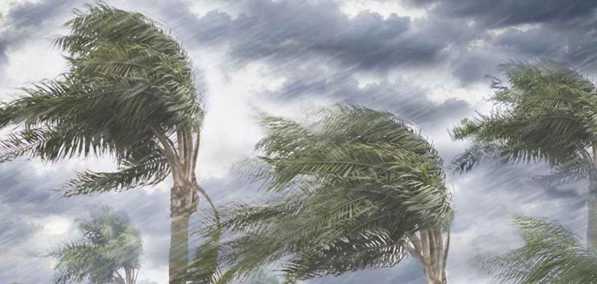 টানা ৫ দিন বজ্রসহ বৃষ্টির পূর্বাভাস