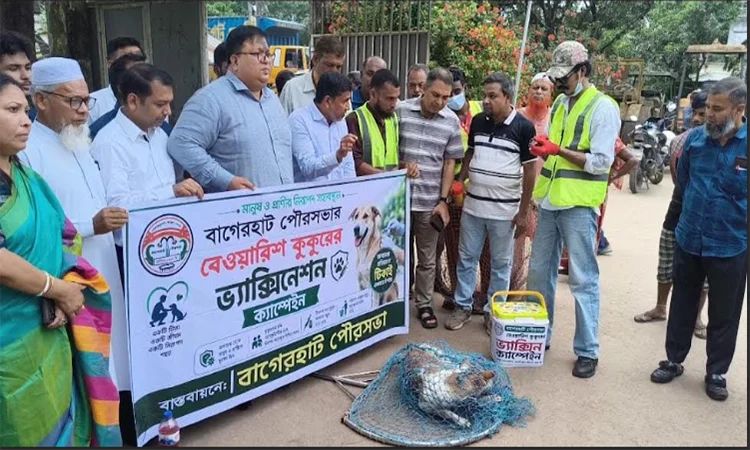 বাগেরহাটে বেওয়ারিশ কুকুরকে ভ্যাকসিন দেয়া শুরু
