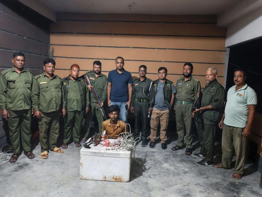 খুলনায় সুন্দরবনে হরিণ শিকারি আটক