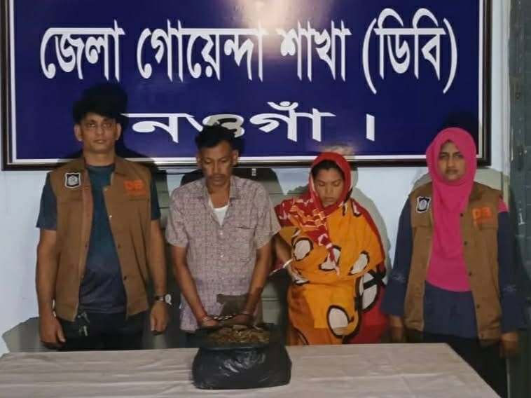 নওগাঁয় ডিবি'র অভিযানে গাজাসহ স্বামী-স্ত্রী আটক