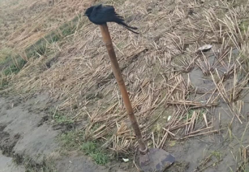 কনকনে শীতে জবুথবু নওগাঁ, তাপমাত্রা ৬ দশমিক ৭