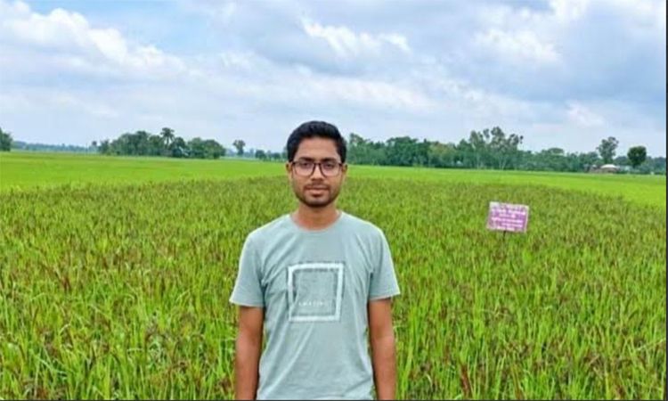 ভিয়েতনাম জাতের কালো ধান চাষে সফল এক যুবক