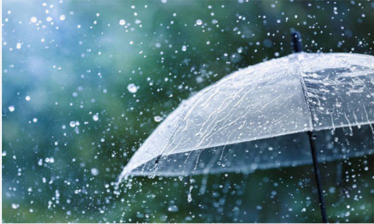 দেশের বিভিন্ন স্থানে হালকা থেকে মাঝারি বৃষ্টির সম্ভাবনা