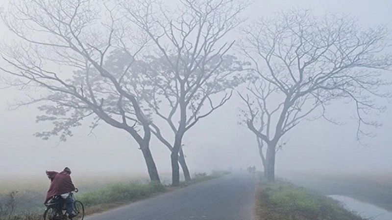 শৈত্যপ্রবাহ বইছে দেশের ২১ জেলায়