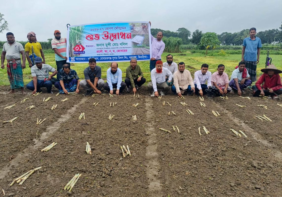 বিএনপি’র প্রতিষ্ঠাবার্ষিকী উপলক্ষে মোবারকগঞ্জ চিনিকলে রোপণ মৌসুম উদ্বোধন