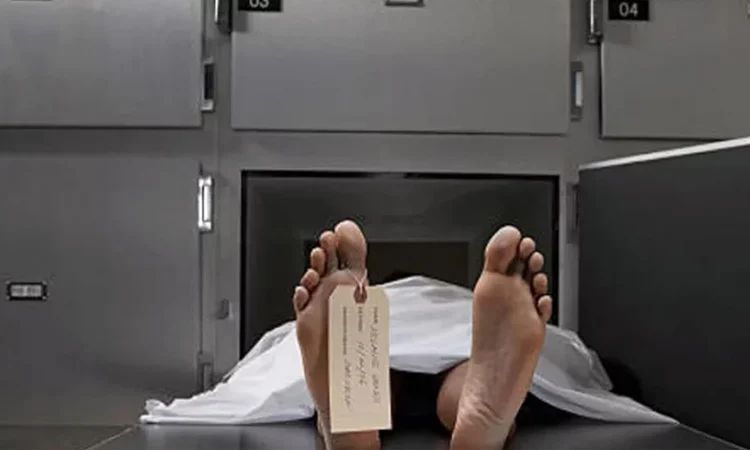 সাতক্ষীরায় পৃথক সড়ক দুর্ঘটনা ও বজ্রপাতে এক নারীসহ ৩ জনের মৃত্যু
