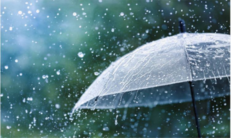 দেশের বিভিন্ন স্থানে বৃষ্টির পূর্বাভাস, থাকছে ভারী বর্ষণের শঙ্কাও