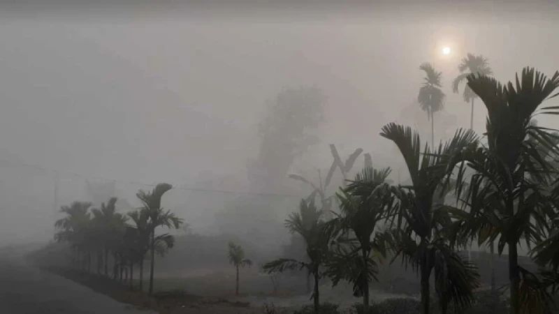 প্রথম শৈত্যপ্রবাহ শুরু হতে পারে ১৪ ডিসেম্বর