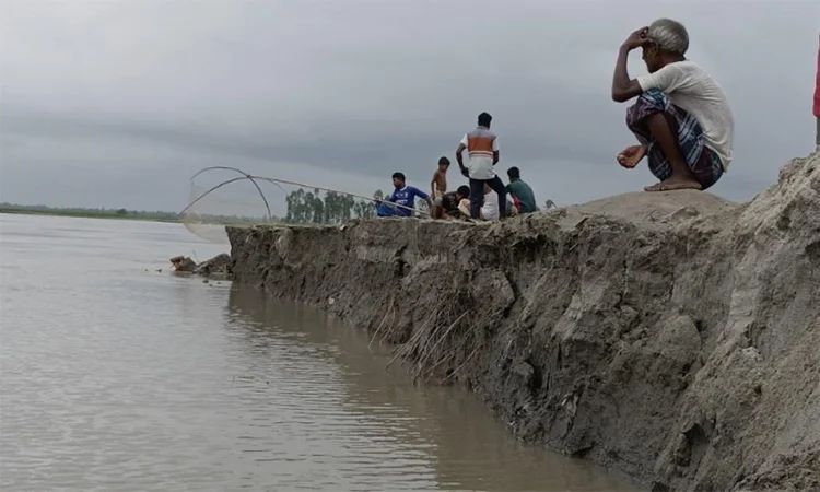 চোখের সামনেই নদীগর্ভে বিলীন তিস্তা পাড়ের বসতবাড়ি