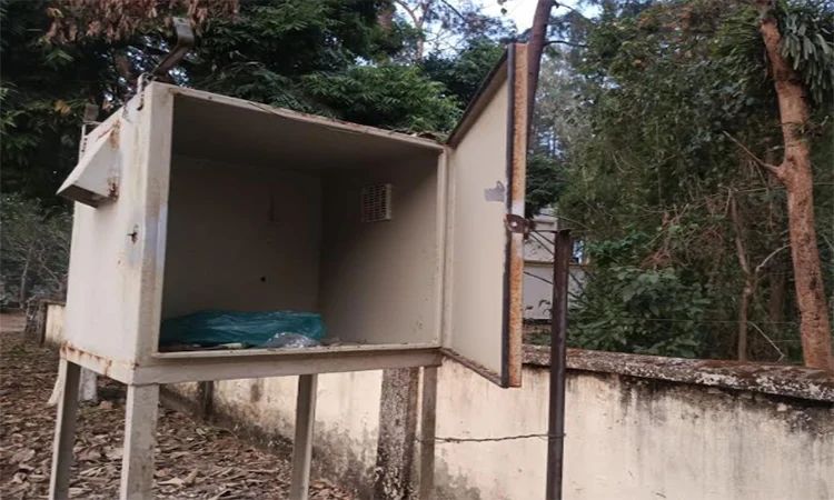 কাপ্তাইয়ে সোলার ফেন্সিং অকার্যকর থাকায় লোকালয়ে বন্য হাতি
