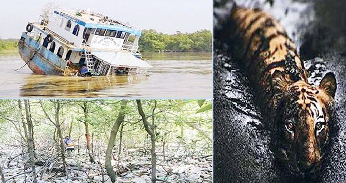 দূষণে বিষাক্ত সুন্দরবনের প্রাণ পশুর নদী