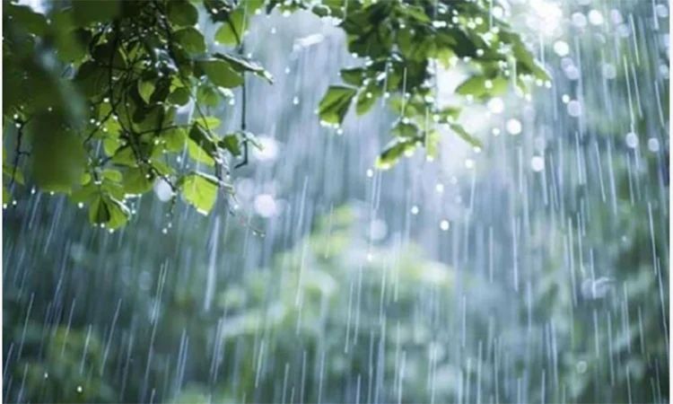 দেশের কোথাও কোথাও বৃষ্টিপাত হতে পারে