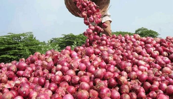 পেঁয়াজ নিয়ে বিপাকে ভারতের রপ্তানিকারকরা