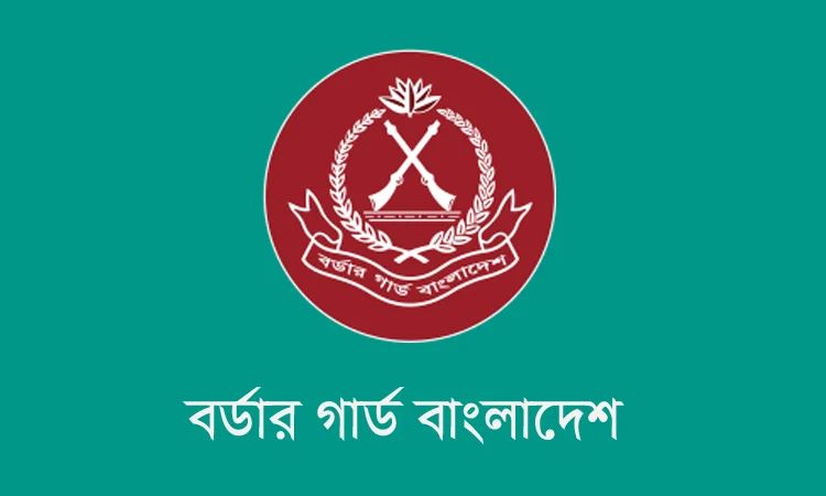 কক্সবাজারের টেকনাফ সীমান্তে বিপুল পরিমাণ ইয়াবা জব্দ