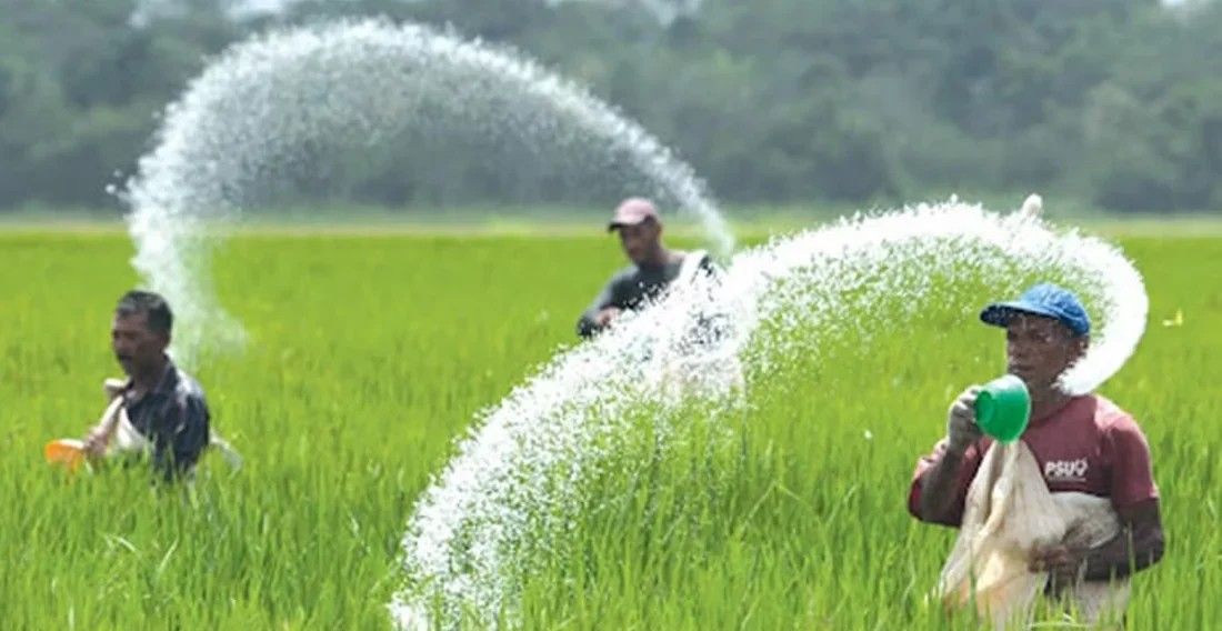 ১৭১৪ কোটি টাকার সার কিনবে সরকার