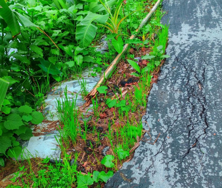 গোবিন্দগঞ্জে ৫৪ লাখ টাকা ব্যয়ে সড়ক সংস্কার