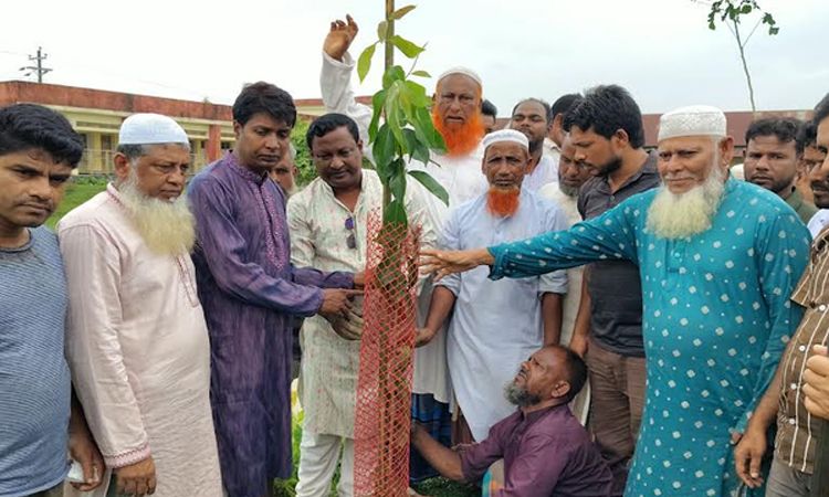 নেত্রকোণায় বৃক্ষরোপণ কর্মসূচি শুরু