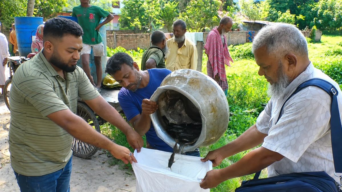 যশোরে ৭ টন নিষিদ্ধ আফ্রিকান মাগুর মাছ জব্দ