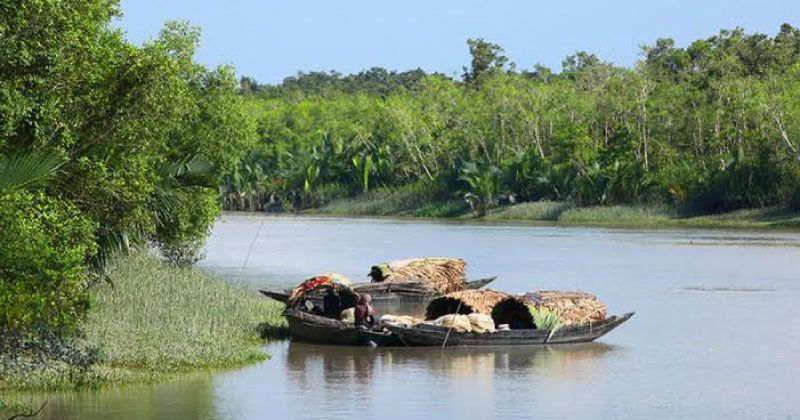 সুন্দরবনে দস্যু দমনে অভিযান শুরু