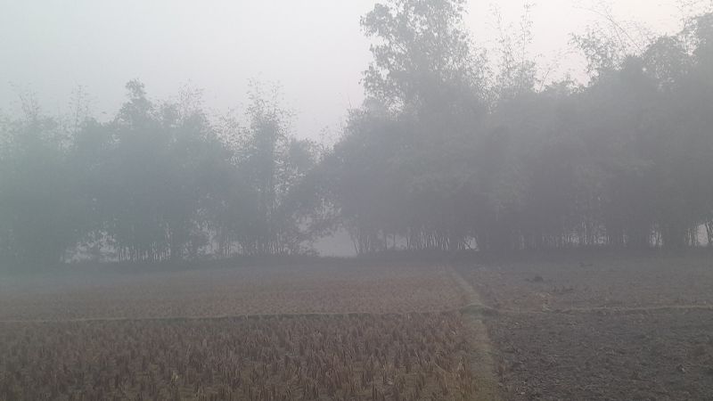 একাধিক তীব্র শৈত্যপ্রবাহের আভাস