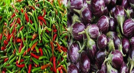 বেগুন ১৬০ ও কাঁচামরিচ ২৪০ টাকা কেজি