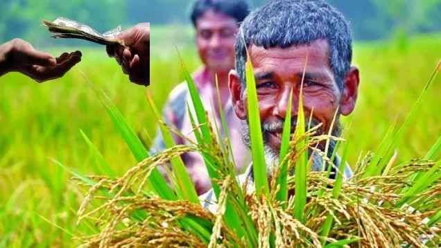 ১০ হাজার টাকা পর্যন্ত কৃষিঋণ মওকুফ করল সরকার