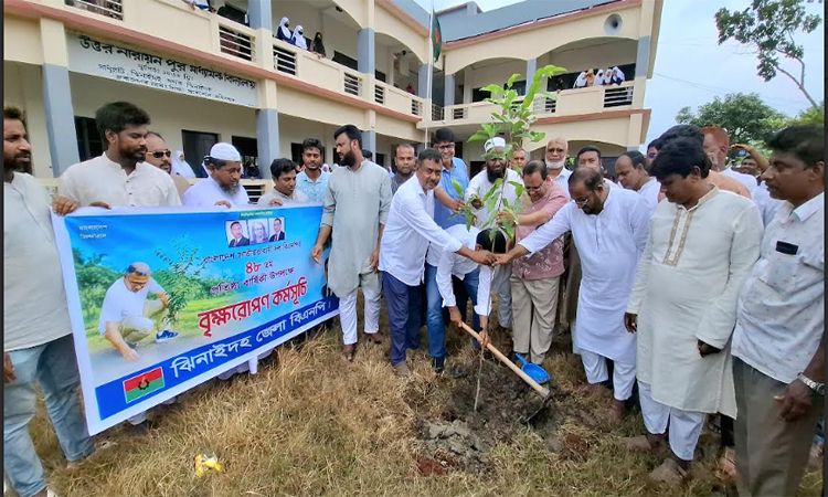 বিএনপির প্রতিষ্ঠাবার্ষিকীতে ঝিনাইদহে বৃক্ষরোপণ ও গাছের চারা বিতরণ