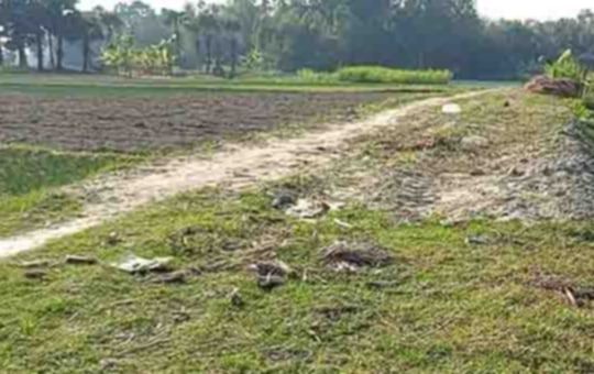 নওগাঁর মান্দায় কাবিখা প্রকল্পে ব্যাপক অনিয়মের অভিযোগ