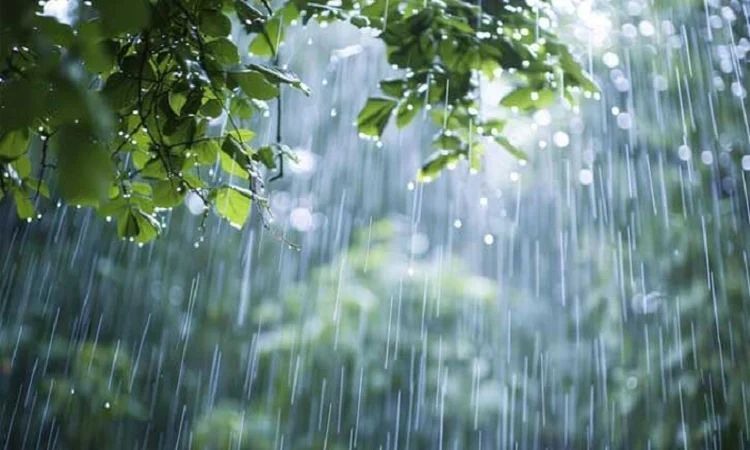 দেশের বিভিন্ন স্থানে বৃষ্টির সম্ভাবনা, কমতে পারে দিন-রাতের তাপমাত্রা