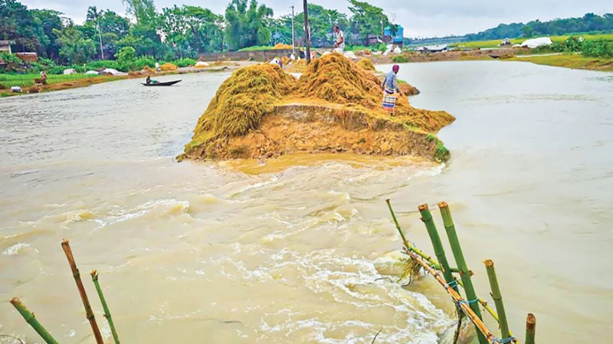হাওরে আকস্মিক বন্যায় পানির নিচে স্বপ্নের ফসল