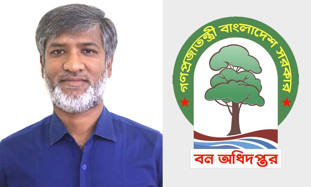 ঢাকা বন বিভাগে দুর্নীতি ও বনভূমি দখলের অভিযোগ, তদন্তের দাবি