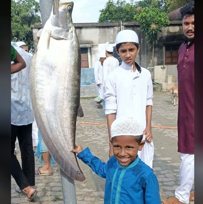 চিতল মাছের কোপ্তা