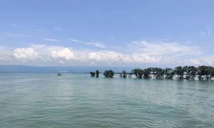 টাঙ্গুয়ার হাওরের জীববৈচিত্র্য পুনরুদ্ধারে পাইলট প্রকল্প, জনমনে আশার সঞ্চার