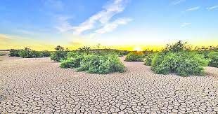 জলবায়ু পরিবর্তনে পানি সংকটে ইউরোপ