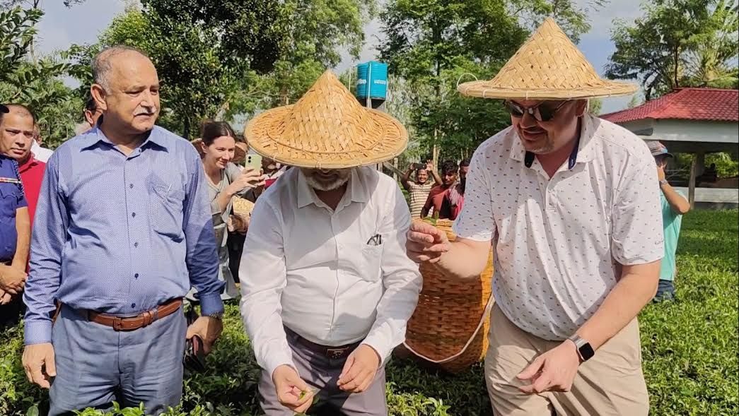 ঠাকুরগাঁওয়ে চা বাগান পরিদর্শনে মার্কিন রাষ্ট্রদূত