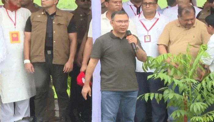 শিশুর মতো গাছেরও পরিচর্যা করতে হবে