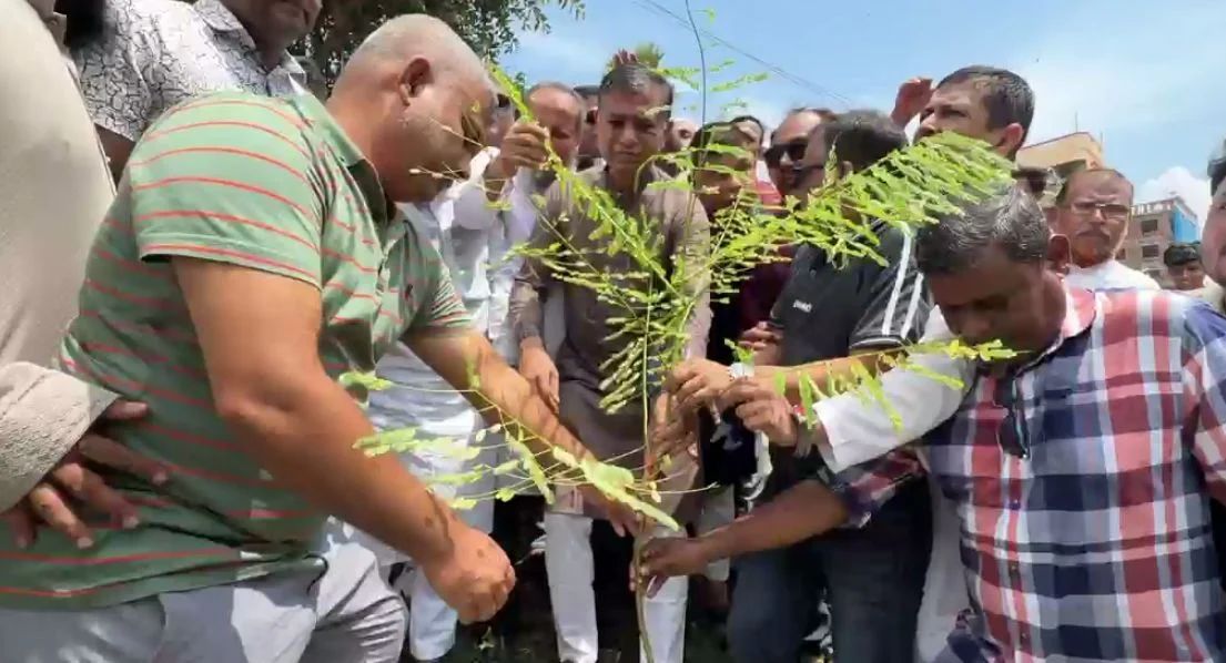 ব্রাহ্মণবাড়িয়ায় যুবদলের বৃক্ষরোপণ কর্মসূচি