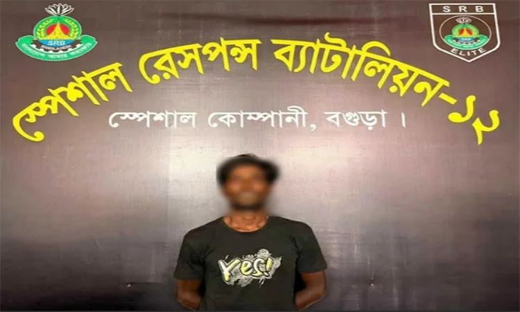 বগুড়ার দুপচাঁচিয়ায় গাঁজা গাছসহ আটক এক