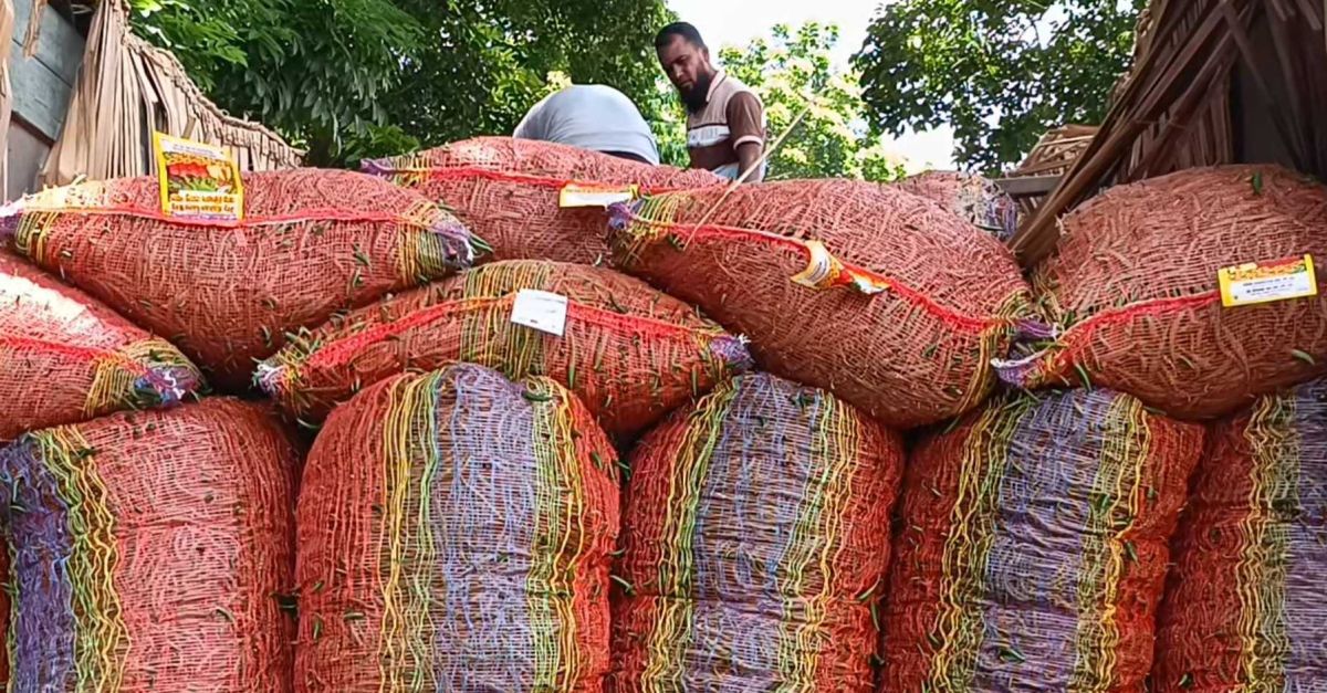 আমদানি হলেও কাঁচা মরিচের ঝাঁজ কমছে না