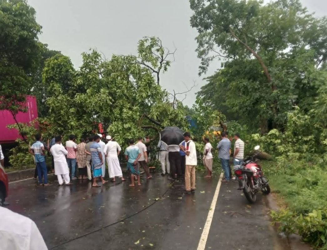 গজারিয়া ঝড়ে গাছ পড়ে ঢাকা-চট্টগ্রাম মহাসড়কে তীব্র যানজট