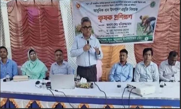 দিনাজপুরে  প্রশিক্ষণ ও ধান ক্ষেত পরিদর্শনে কৃষি অধিদপ্তরের প্রতিনিধি দল