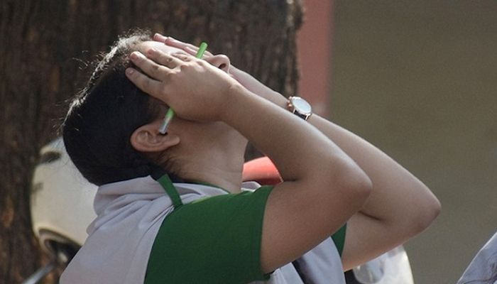 ৩১২ প্রতিষ্ঠানের সবাই ফেল