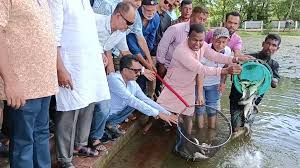 বিএনপির প্রতিষ্ঠা বার্ষিকী উপলক্ষ্যে ছাত্রদলের মৎস অবমুক্তকরণ