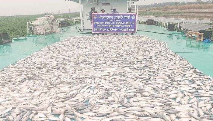 গজারিয়ায় ৪ হাজার কেজি জাটকা জব্দ