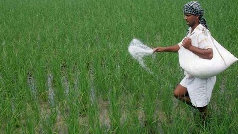 সার ডিলার নিয়োগ ও বিতরণ নীতিমালা অনুমোদন