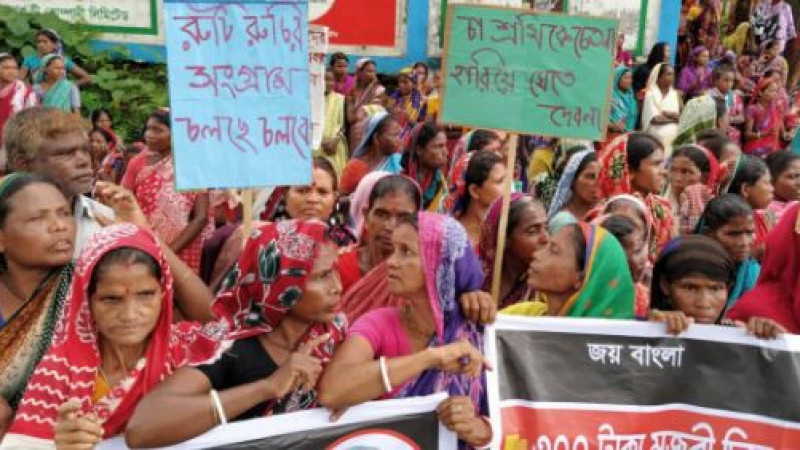 আবারও কর্মবিরতিতে চা শ্রমিকরা