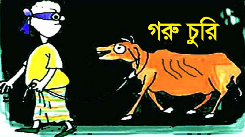 আত্রাইয়ে গোয়াল ঘর থেকে গরু চুরি